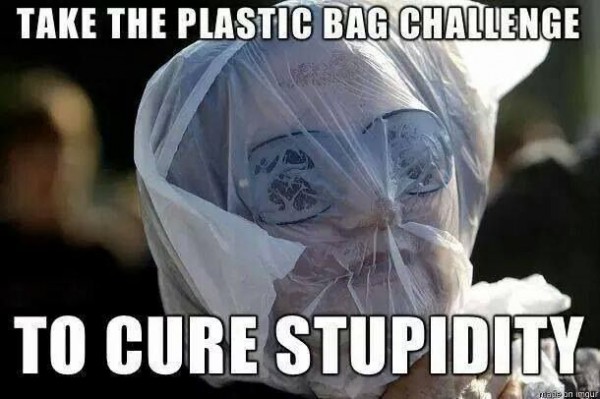 funny-pictures-plastic-bag-challenge-cur