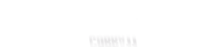 alarm fuer cobra11 logo formatseite1