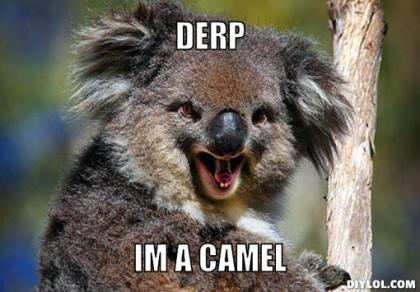 derp-koala-meme-generator-derp-im-a-came