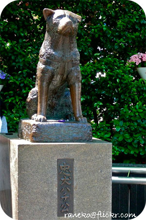 shibuya-tokyo-hachiko-statue