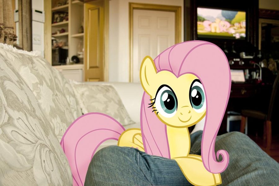 fluttershy  s on my couch by ilovemyipod