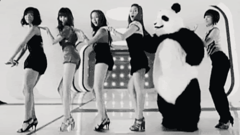 panda dance