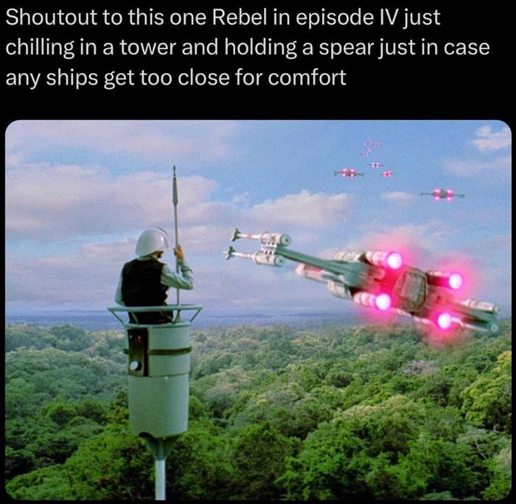 rebel