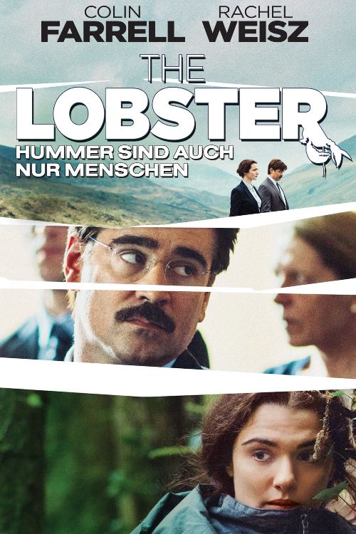 20250206 the-lobster