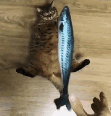 Katze und Fisch - Copy