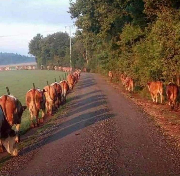 rettungsgasse in sauerland