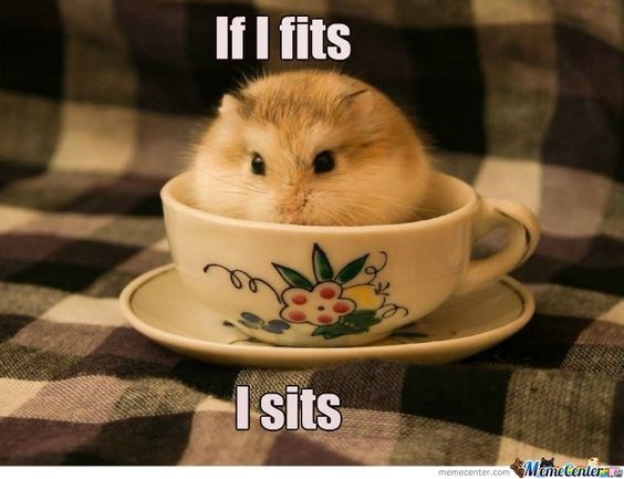 cup-if-i-fits-isits-manecenter-memecente