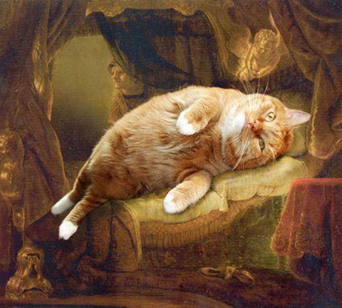 rembrandt-danae-cat-fs