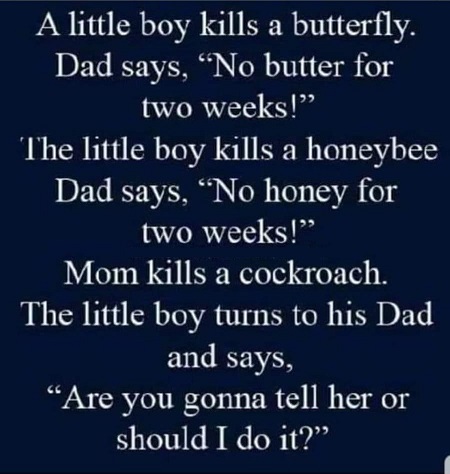 Kill a butterfly klein