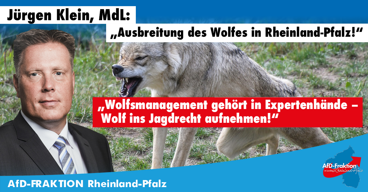 Klein-Schaubild-Wolfjagen