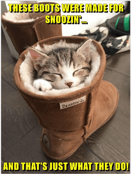 these-boots-were-made-snoozin-bearpaw-an