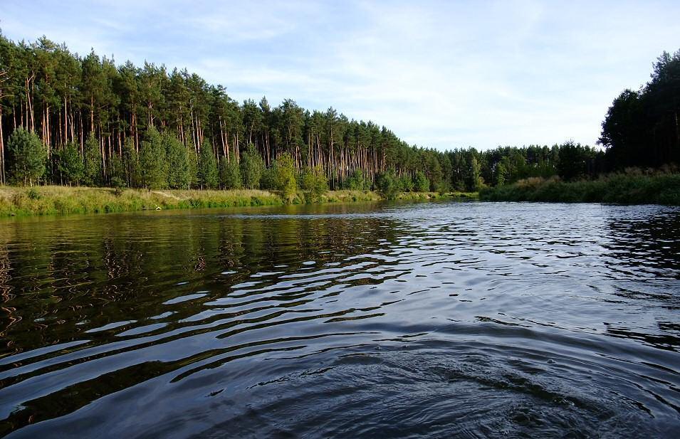 szlak kajakowy warta zalecze 16