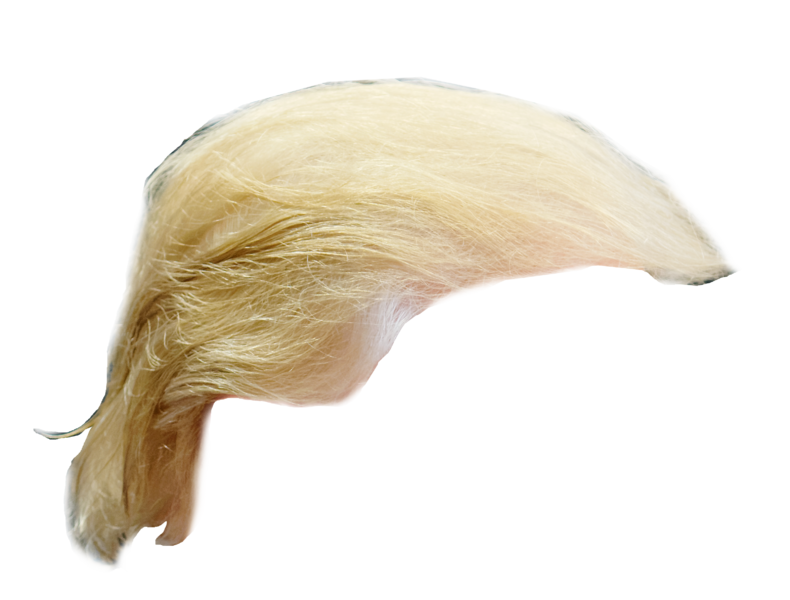 790px-Trump Hair