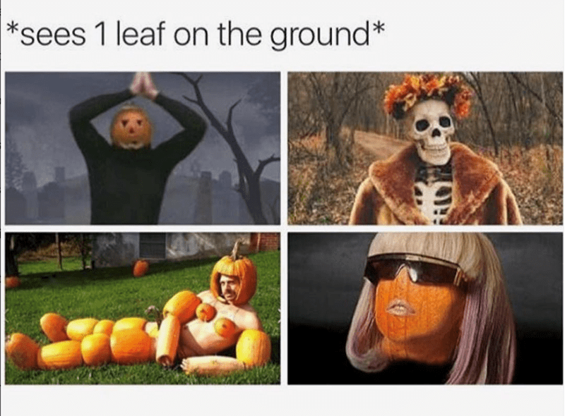 sees-1-leaf-on-ground