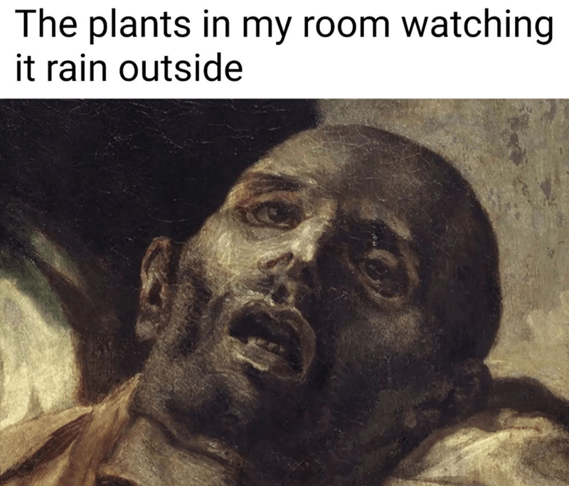 plants-my-room-watching-rain-outside