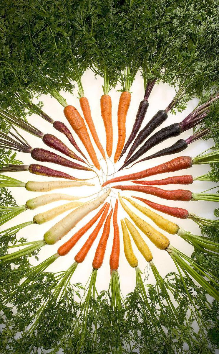 800px Carrots of many colors