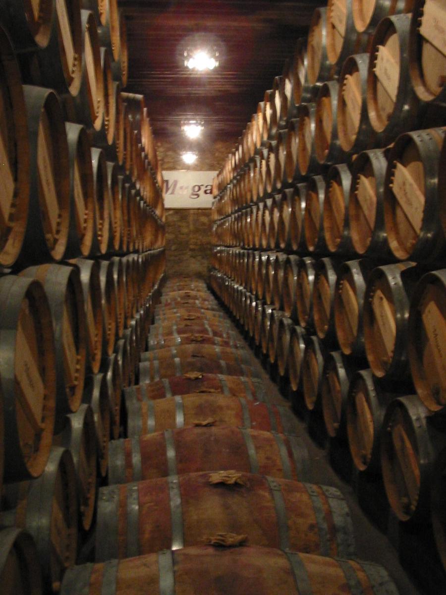 Wine barrels in La Rioja