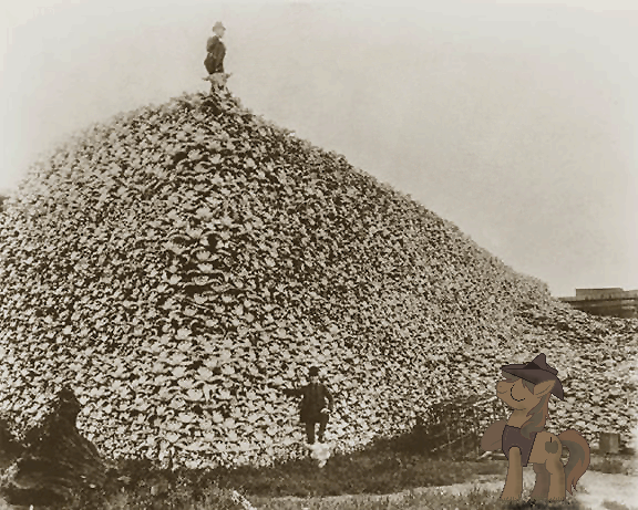 braeburn on the great buffalo hunt by de