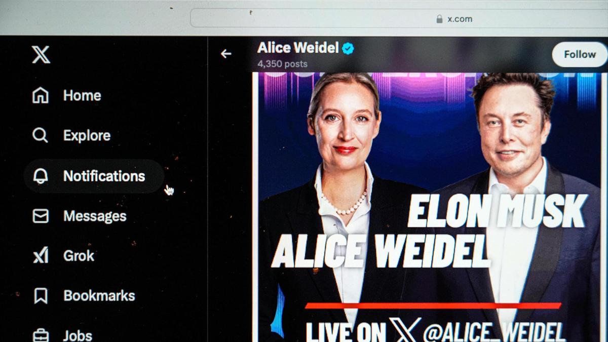 elon-musk-alice-weidel-twitter-x-100-192