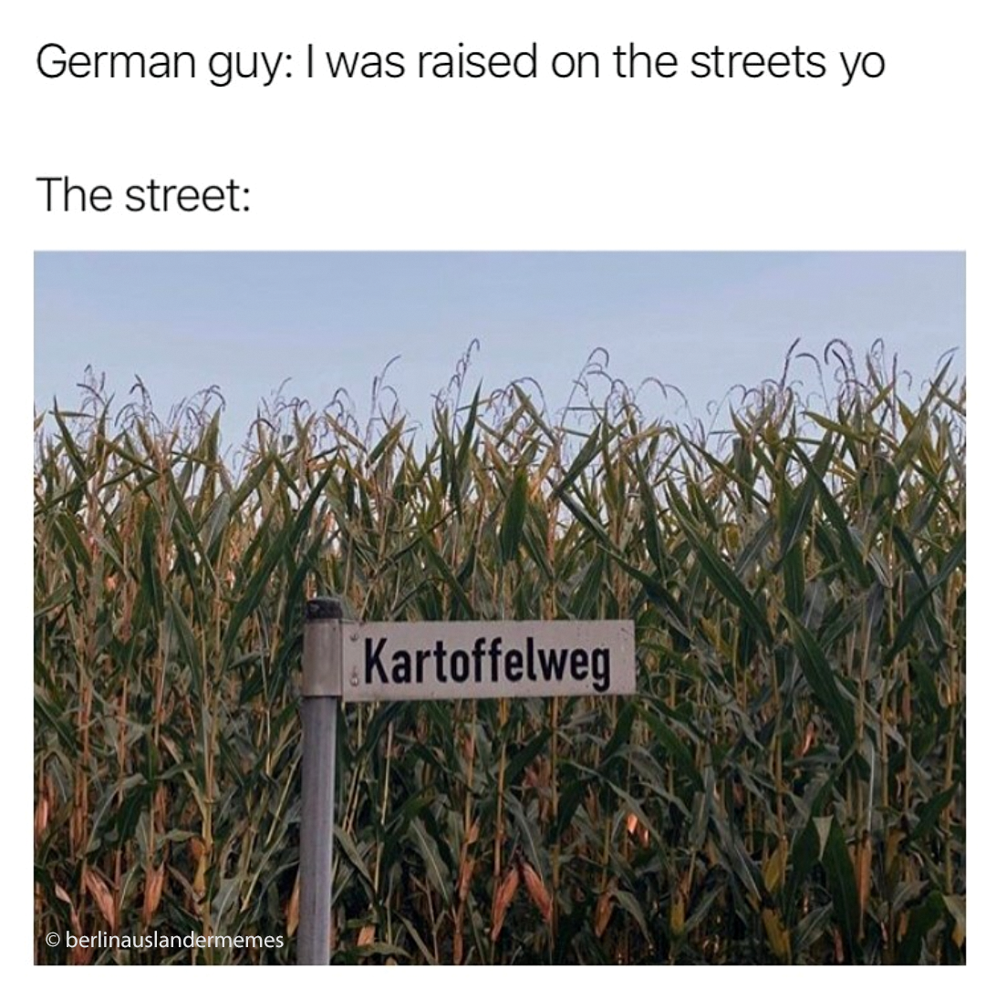 Berlinauslandermemes-3