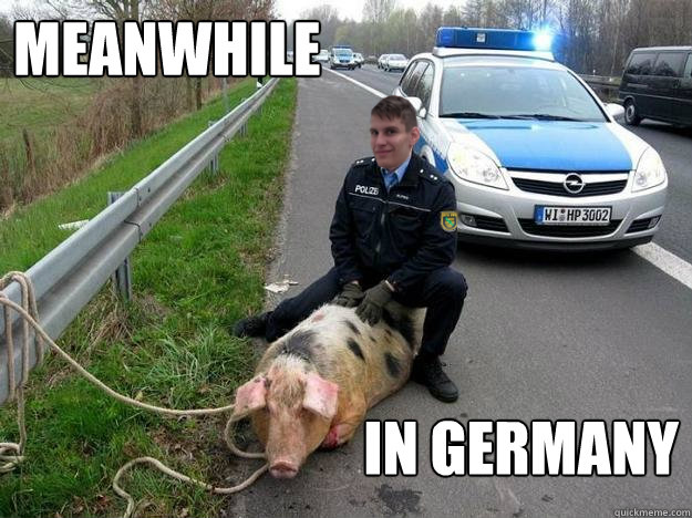 Deku Schwein