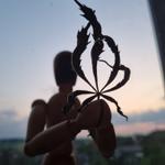 Profil von Langweilig