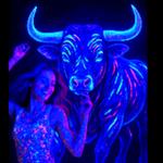 Profil von Schwarzlicht