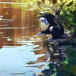 Profil von LackyLuke77