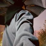 Profil von Bumfuzzle