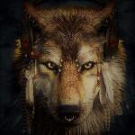Profil von rainlove