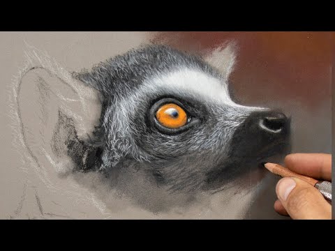 Youtube: Wildlife Art - Pastel Pencil Lesson How to Draw an Eye - Jason morgan Art