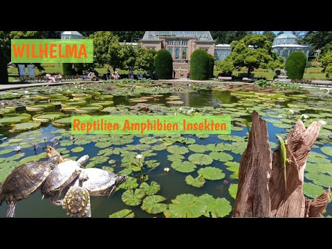 Youtube: Wilhelma Stuttgart Zoo, Reptilien, Amphibien,Insekten, Seerosenteich