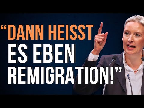 Youtube: Jetzt bläst die AfD endgültig zum Angriff auf die Demokratie!