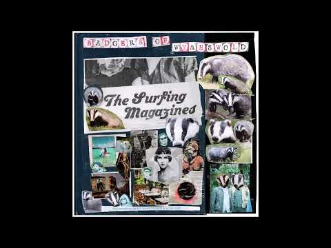 Youtube: The Surfing Magazines - I Dreamed When I Was Young
