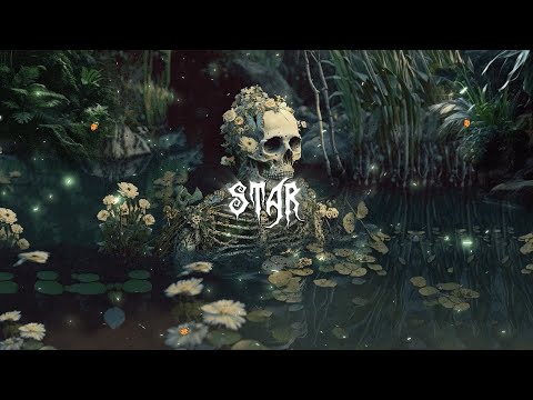 Youtube: CHRIS RAIN - "STAR" (Official Lyric Video)