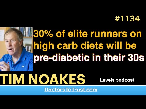 Youtube: TIM NOAKES e | 30% of elite runners on high carb diets will be pre-diabetic in their 30s