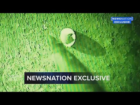 Youtube: UAP recovery video shows ‘egg-shaped’ object: Exclusive | Reality Check