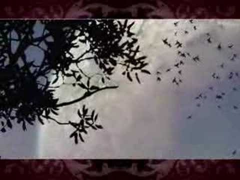 Youtube: Sopor Aeternus - Im Garten Des Nichts