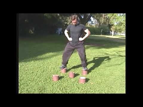 Youtube: Plum Flower Pole Cans Kung Fu Form Practice Training Set