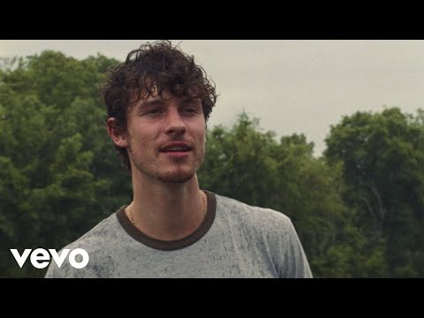 Youtube: Shawn Mendes - Why Why Why (Official Music Video)