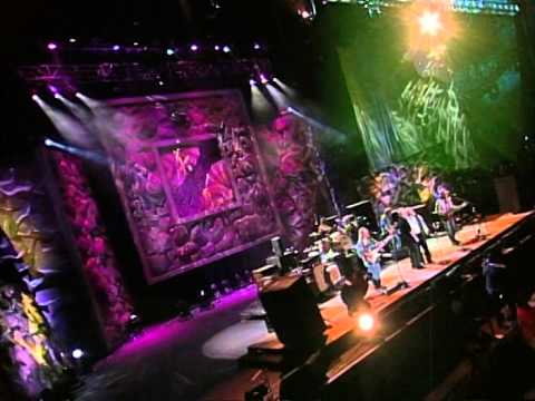 Youtube: Crosby, Stills, Nash & Young - Cinnamon Girl (Live at Farm Aid 2000)