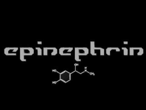 Youtube: Epinephrin - Shizophren