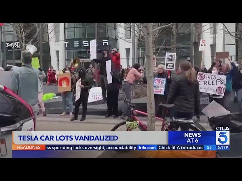 Youtube: Anti-DOGE protestors gather outside Tesla stores, targeting Elon Musk's bottom line