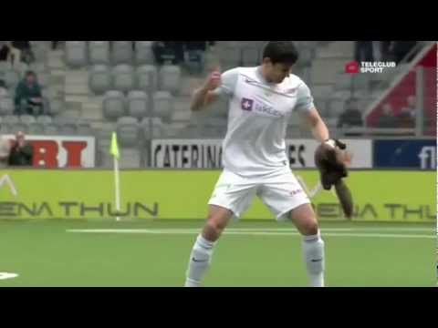 Youtube: Marder stürmt Stadion und beisst Fussballspieler