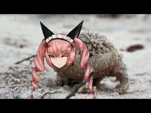 Youtube: A very angry Faris [Steins;Gate]