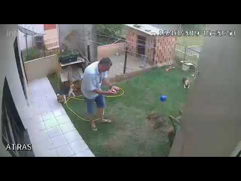 Youtube: Garden explodes (man want to kill mice with gas) / Garten explodiert (Mann will Mäuse mit gas töten)