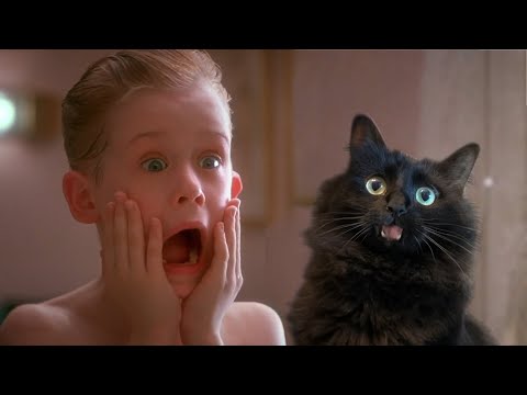 Youtube: Home Alone with My Cat (OwlKitty Parody)