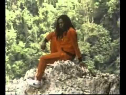 Youtube: Eddy Grant - War Party (Official)