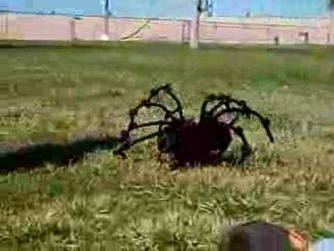 Youtube: The World's Most Giant Killer Spider!!