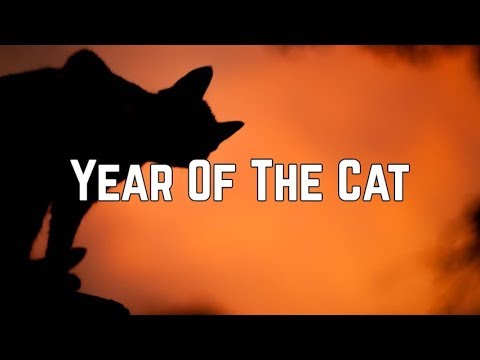 Youtube: Al Stewart - Year Of The Cat (Lyrics)